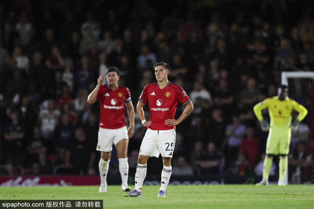 关于曼联中场接连伤退,上下调整困境待解的信息 关于曼联中场接连伤退,上下调整困境待解的信息